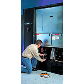 1 YR EAA UPGRADE TO FW OR EXISTING SRVC